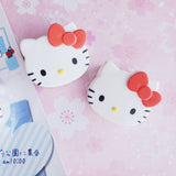 HK 2pc Magnet Clips